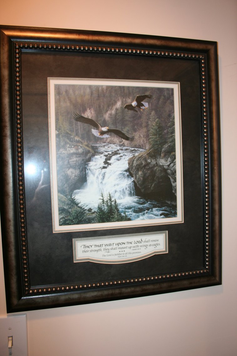 Image for Framed Eagle Print
