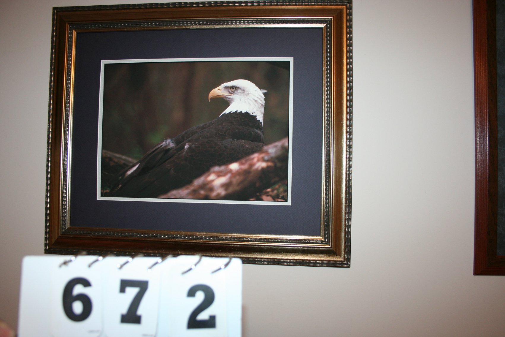 Image for Framed Eagle Print