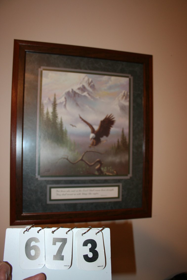 Image for Framed Eagle Print