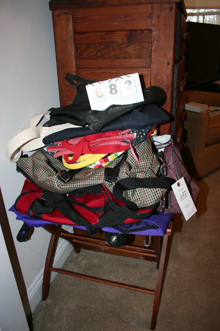 Image for Travel Bags (10) Luggage Stand