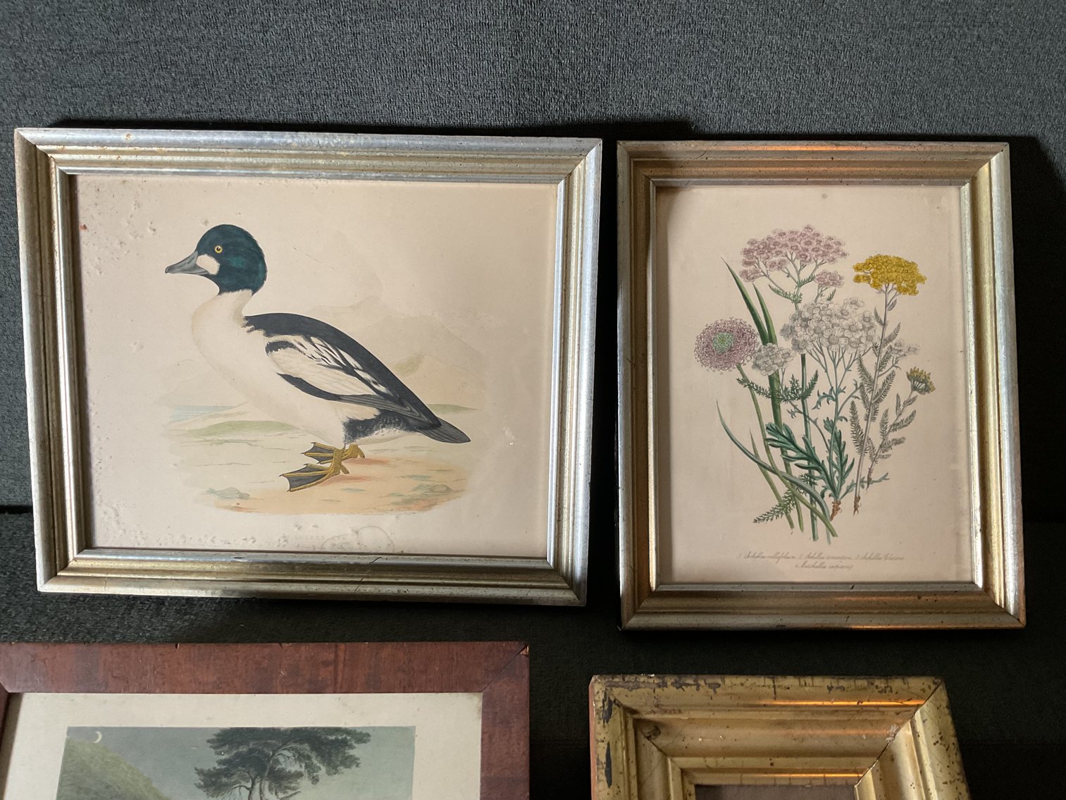 Image for Framed Prints