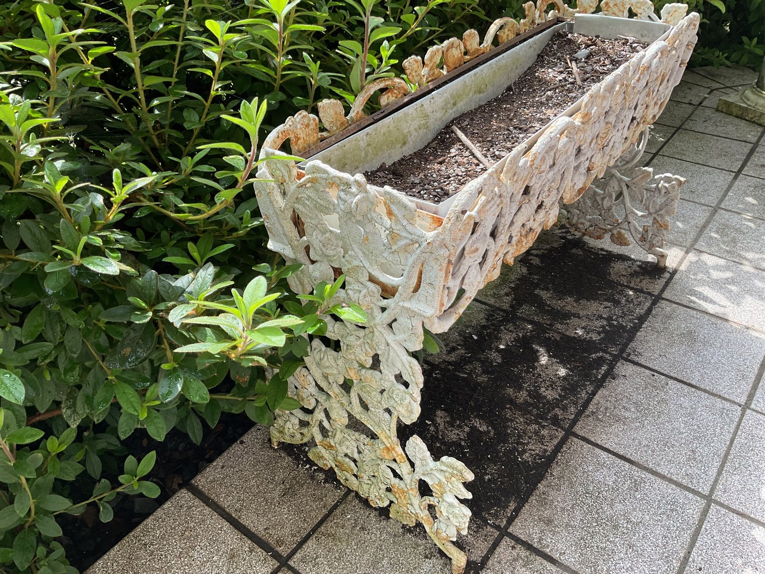 Image for Pair of Heavy Cast Iron Planters