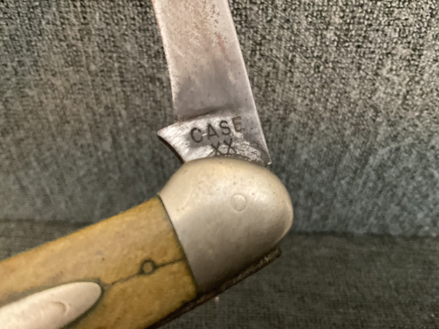 Image for Case XX and More