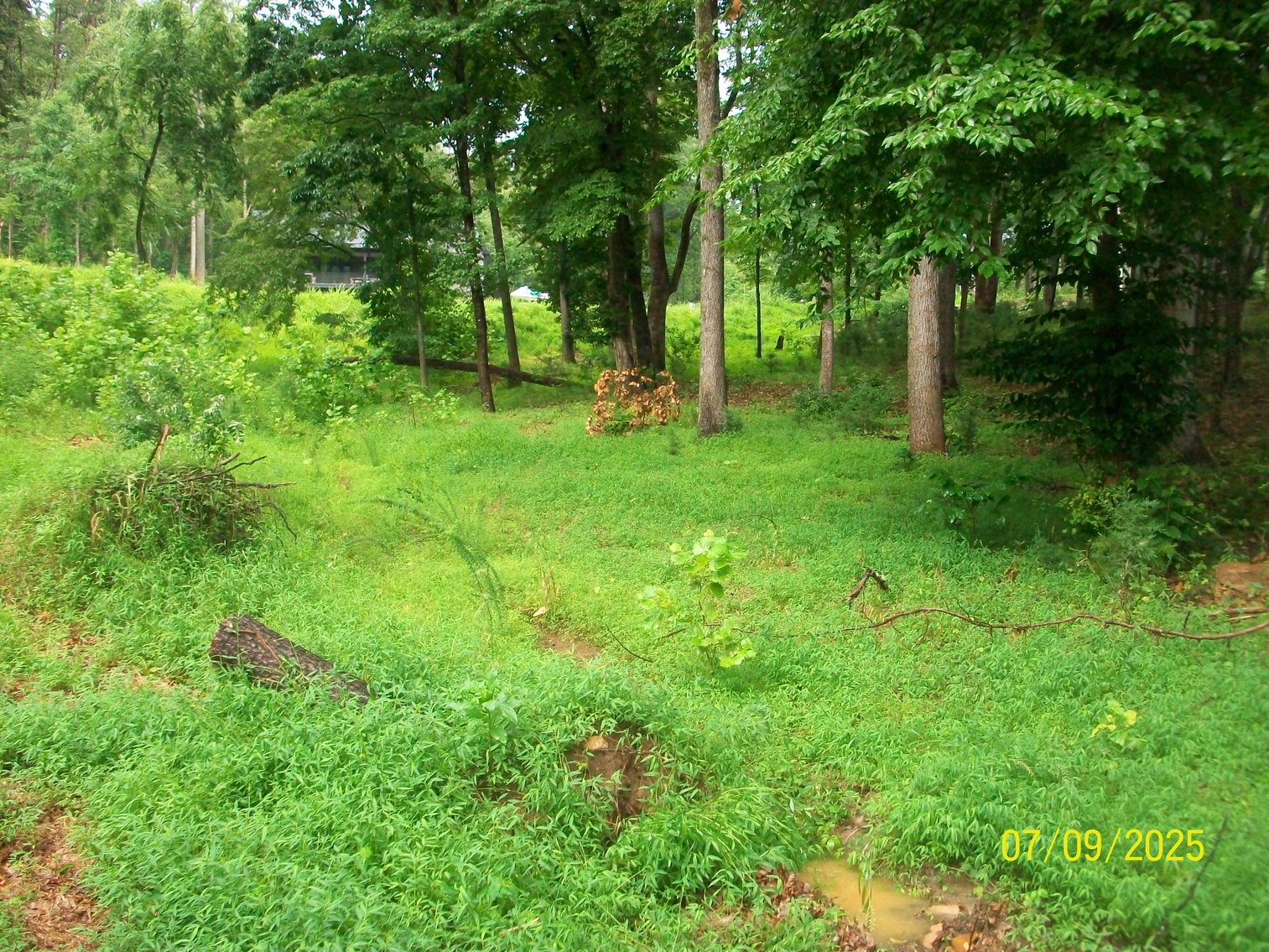 Image for Lakeside Farms Lot 82
