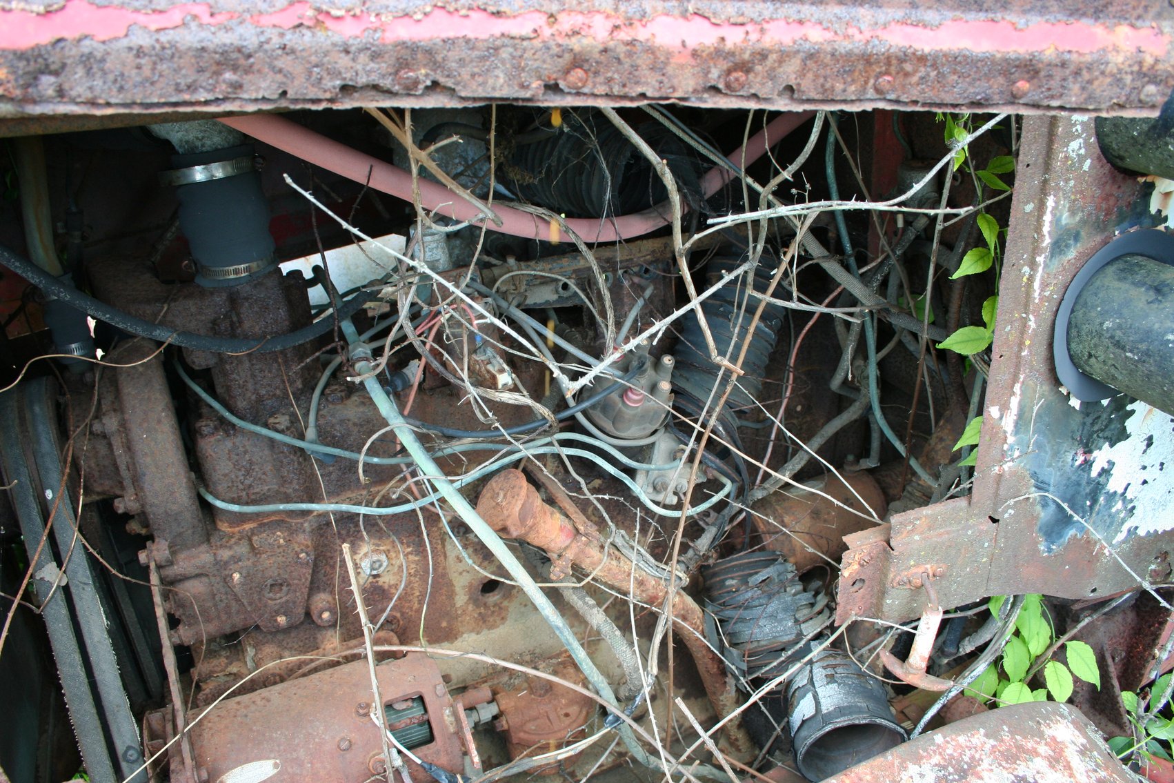 Image for 1959 