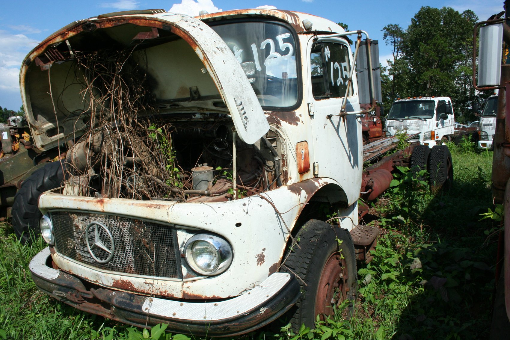 Image for Mercedes 1116   VIN #344814-20/32501   Cab & Chassis   Diesel   Scrap Metal Included