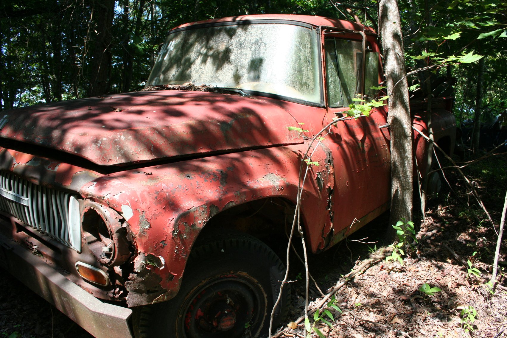 Image for 1965 International 1100   4 X 4   4 Speed   6 Cyl   VIN #S1200SB498600B   TITLE