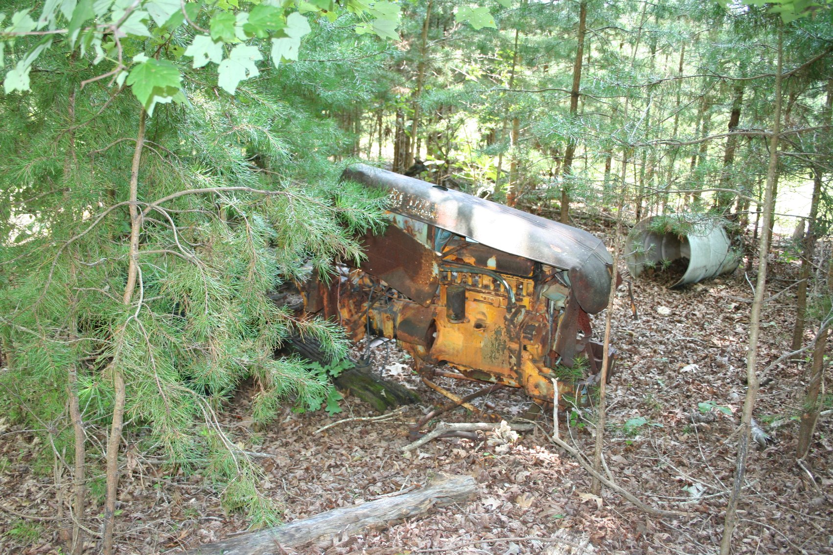 Image for 