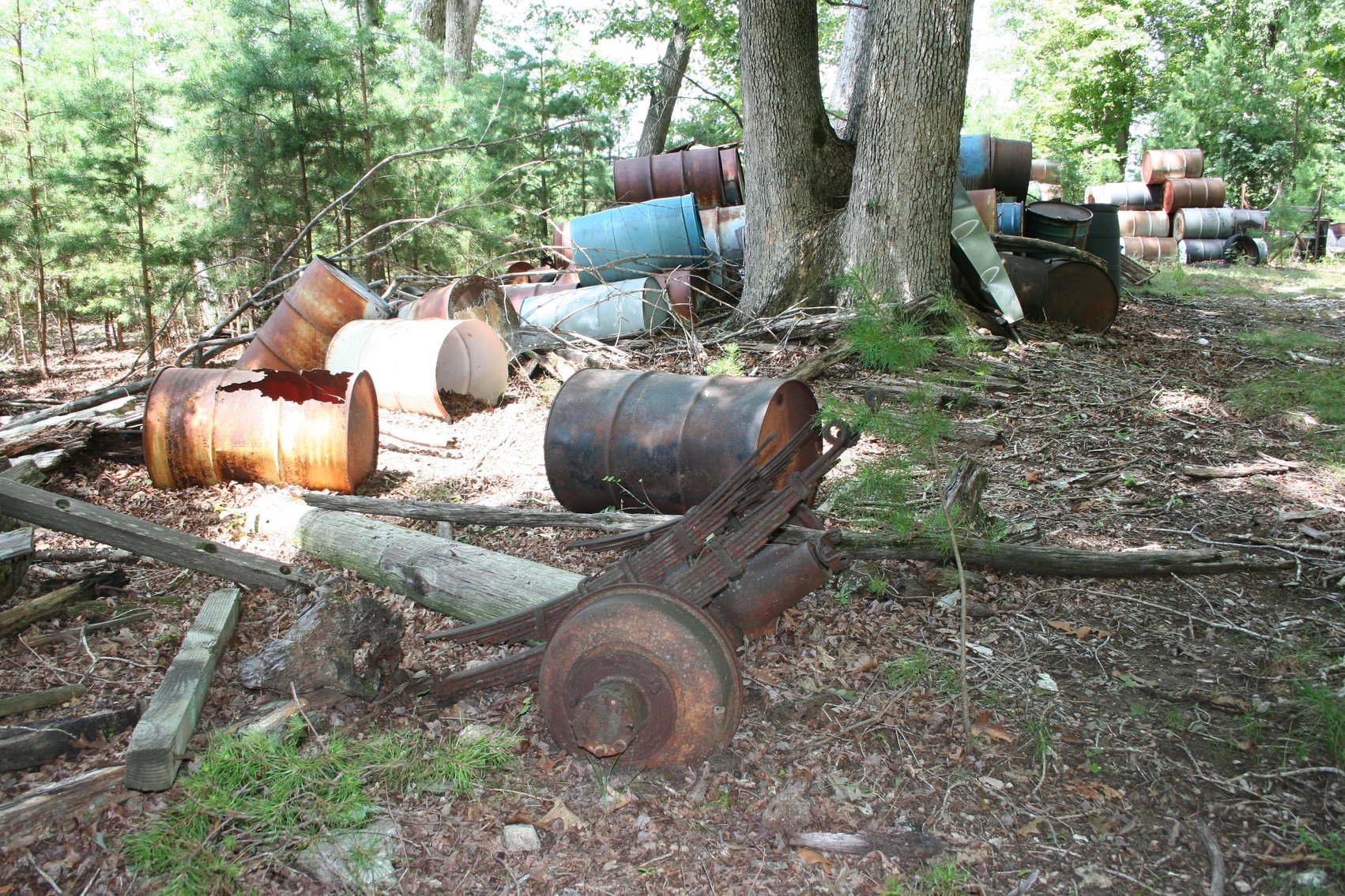 Image for 