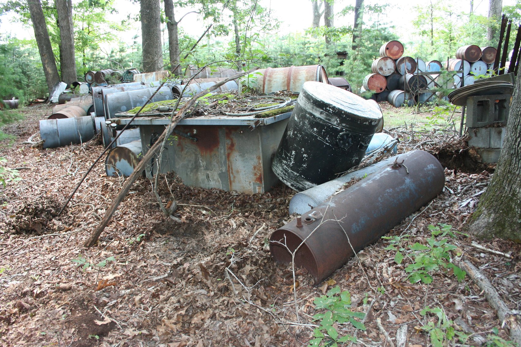 Image for 