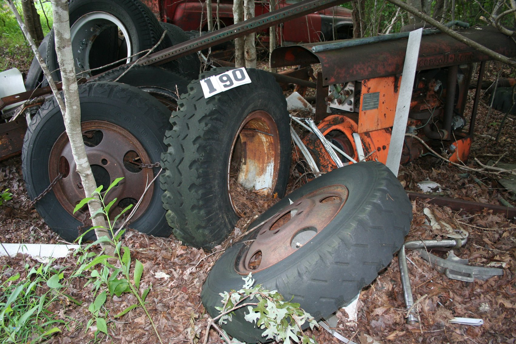 Image for 