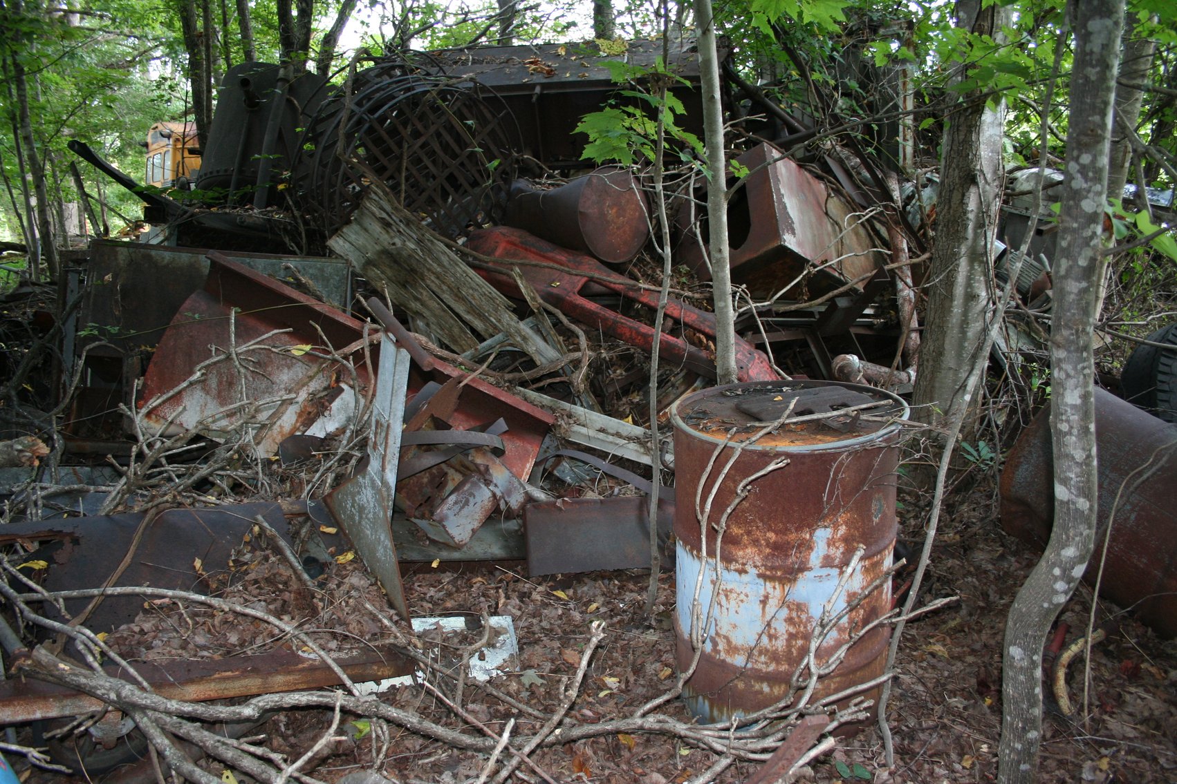 Image for 