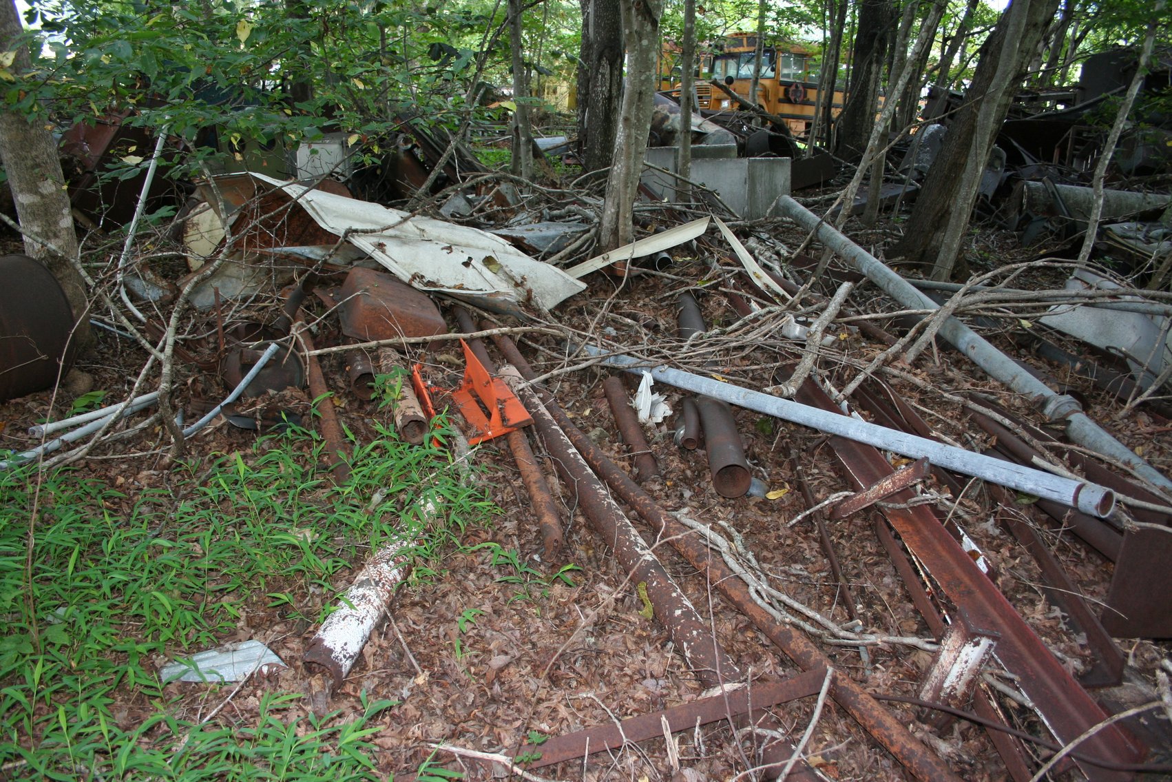 Image for 