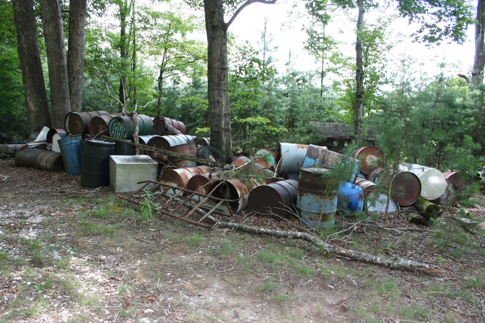 Image for 