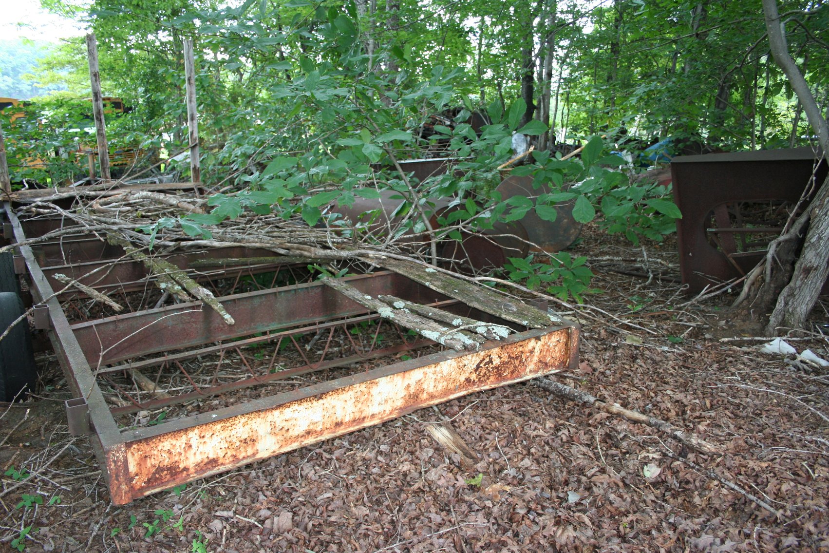 Image for 
