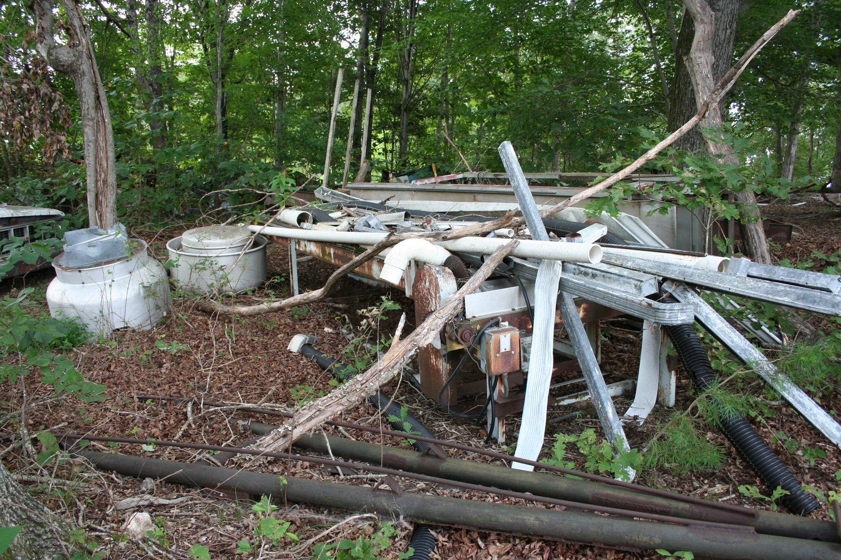 Image for 