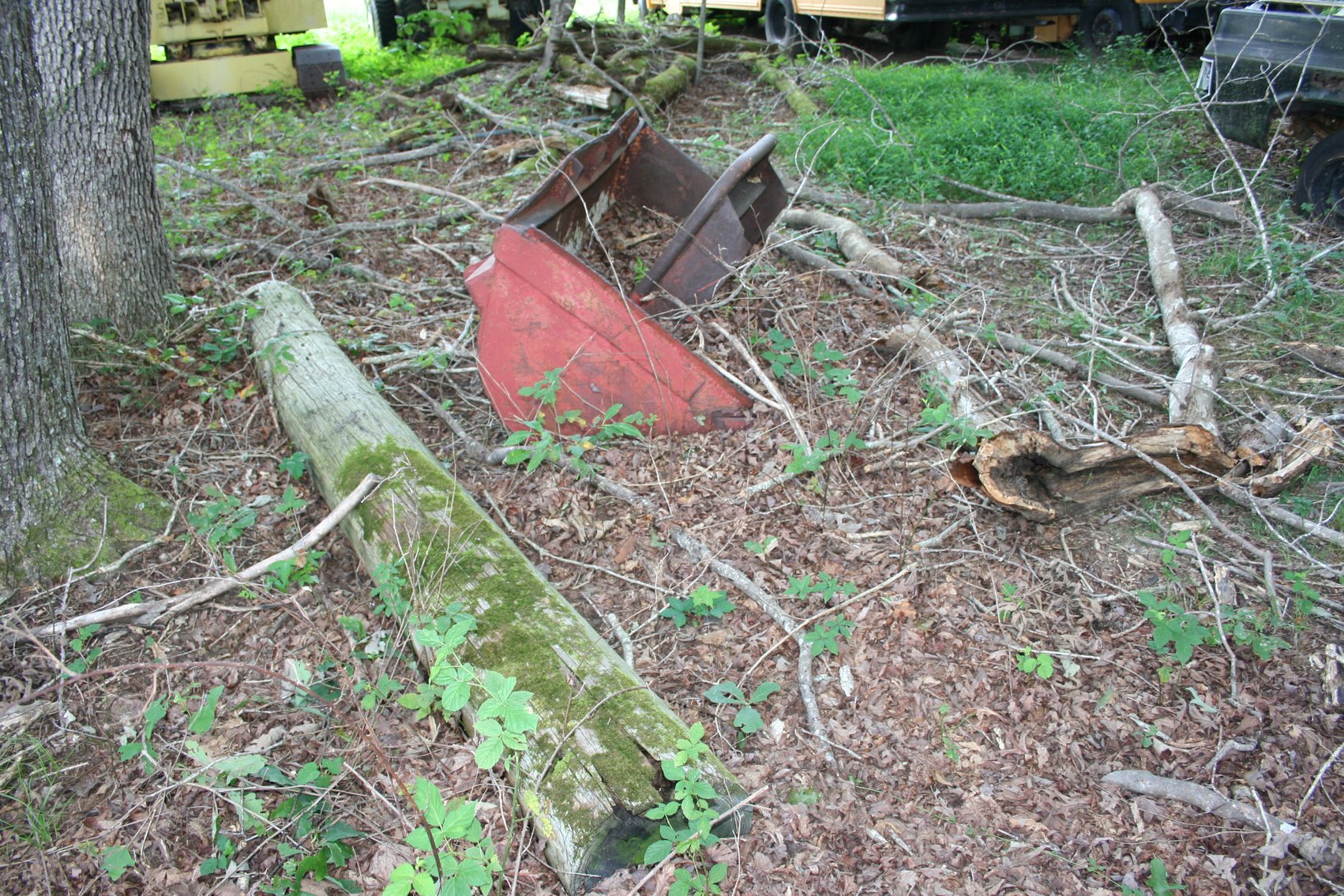 Image for 