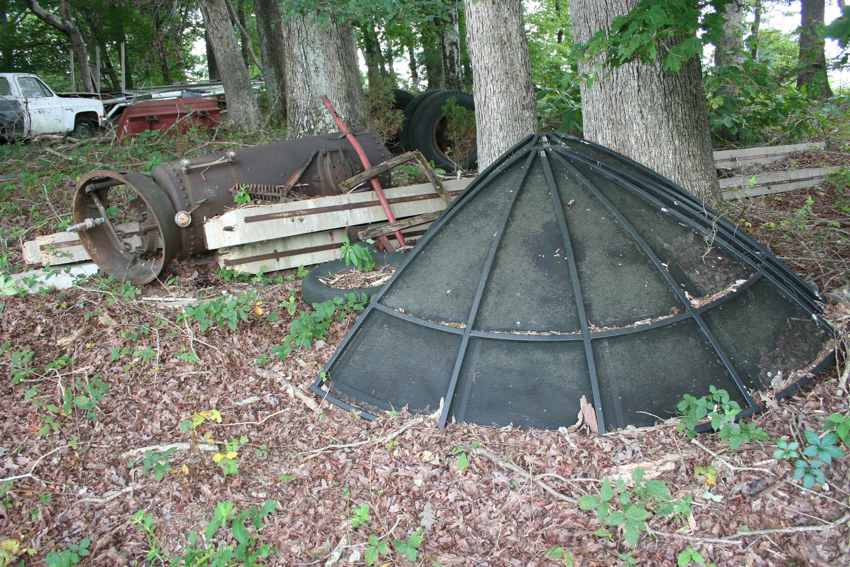 Image for 