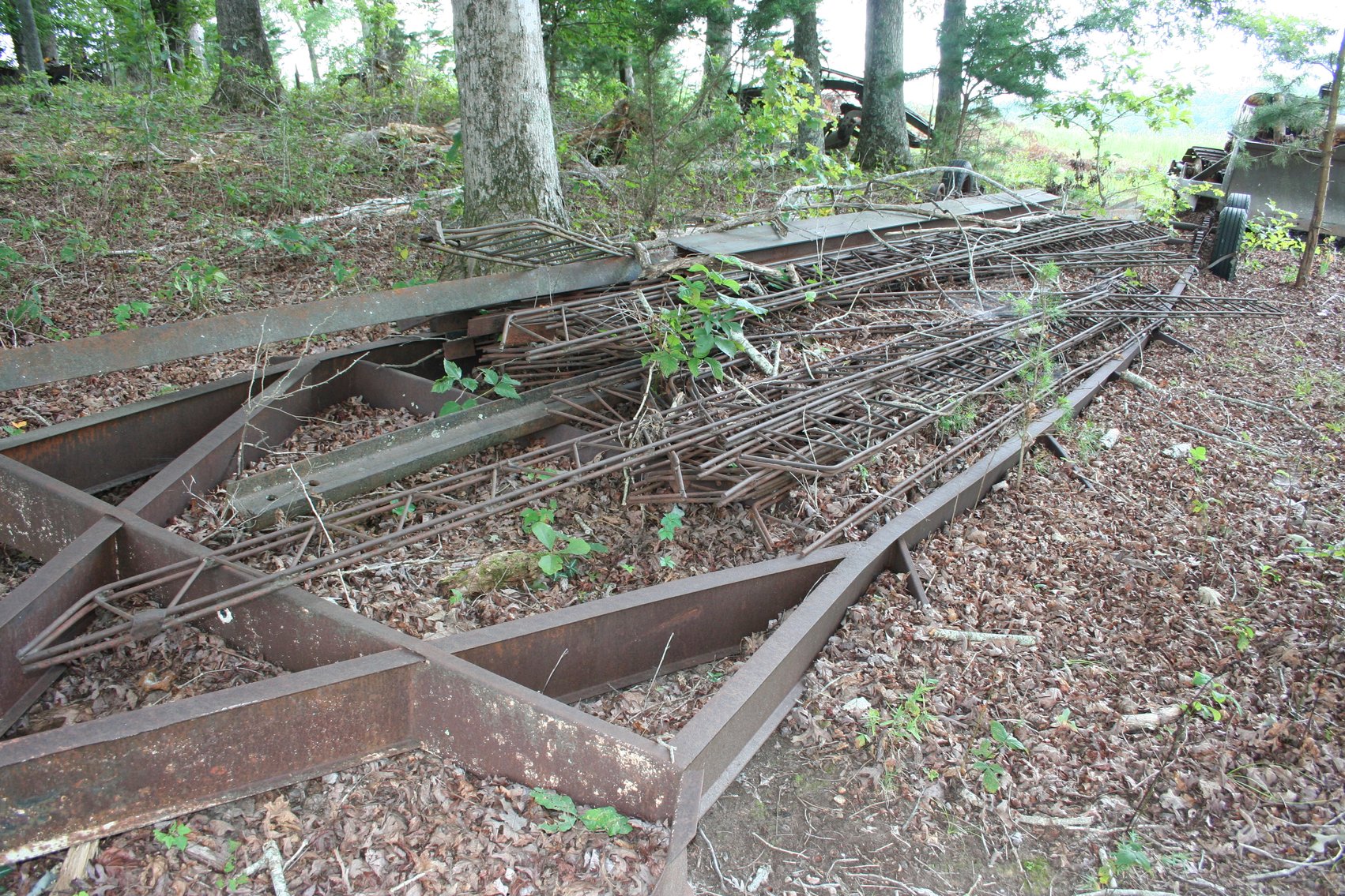 Image for 