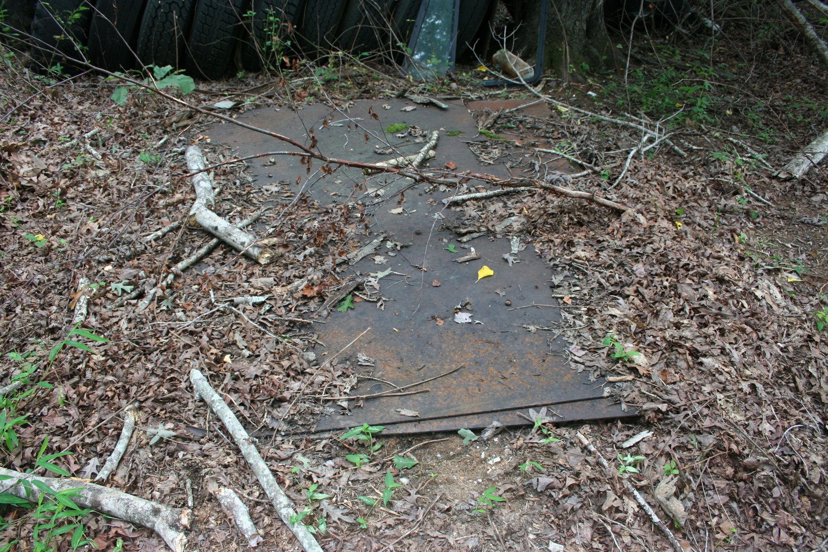 Image for 