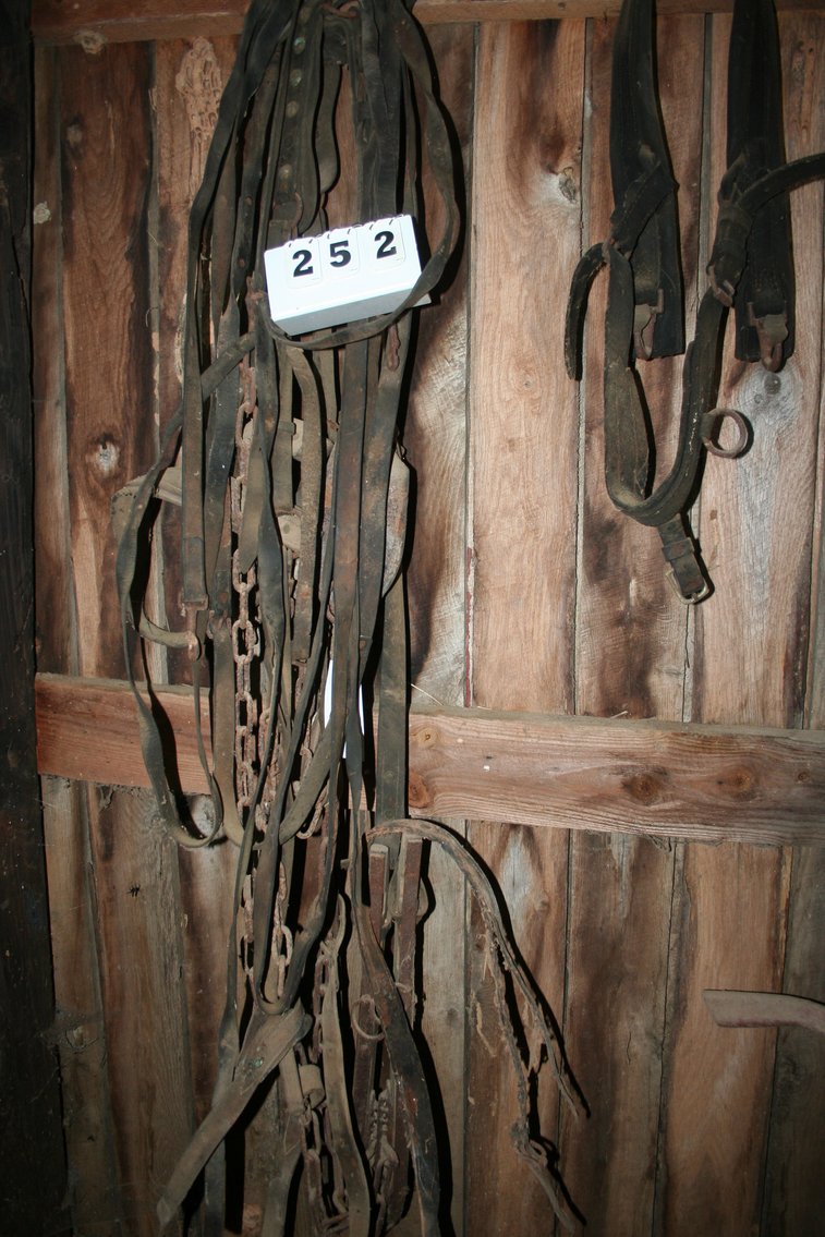 Image for Horse Harness & Leads
