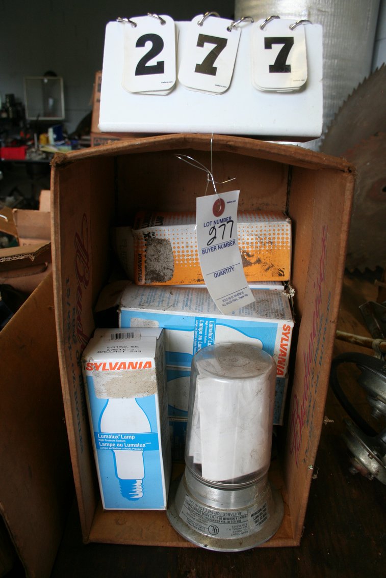 Image for Light Bulbs