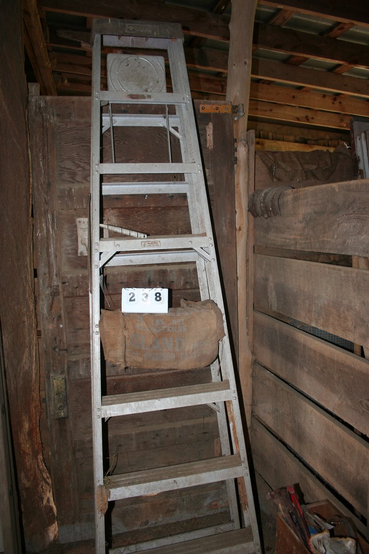 Image for Aluminum Step Ladder 7 Foot