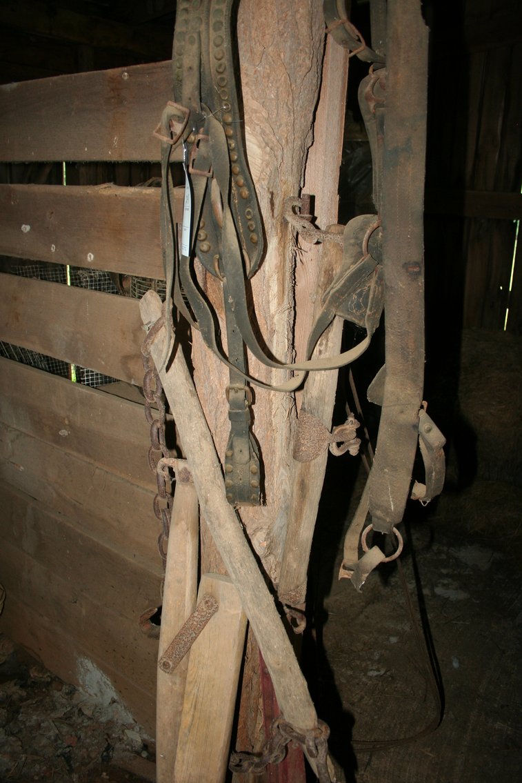 Image for Horse Harness
