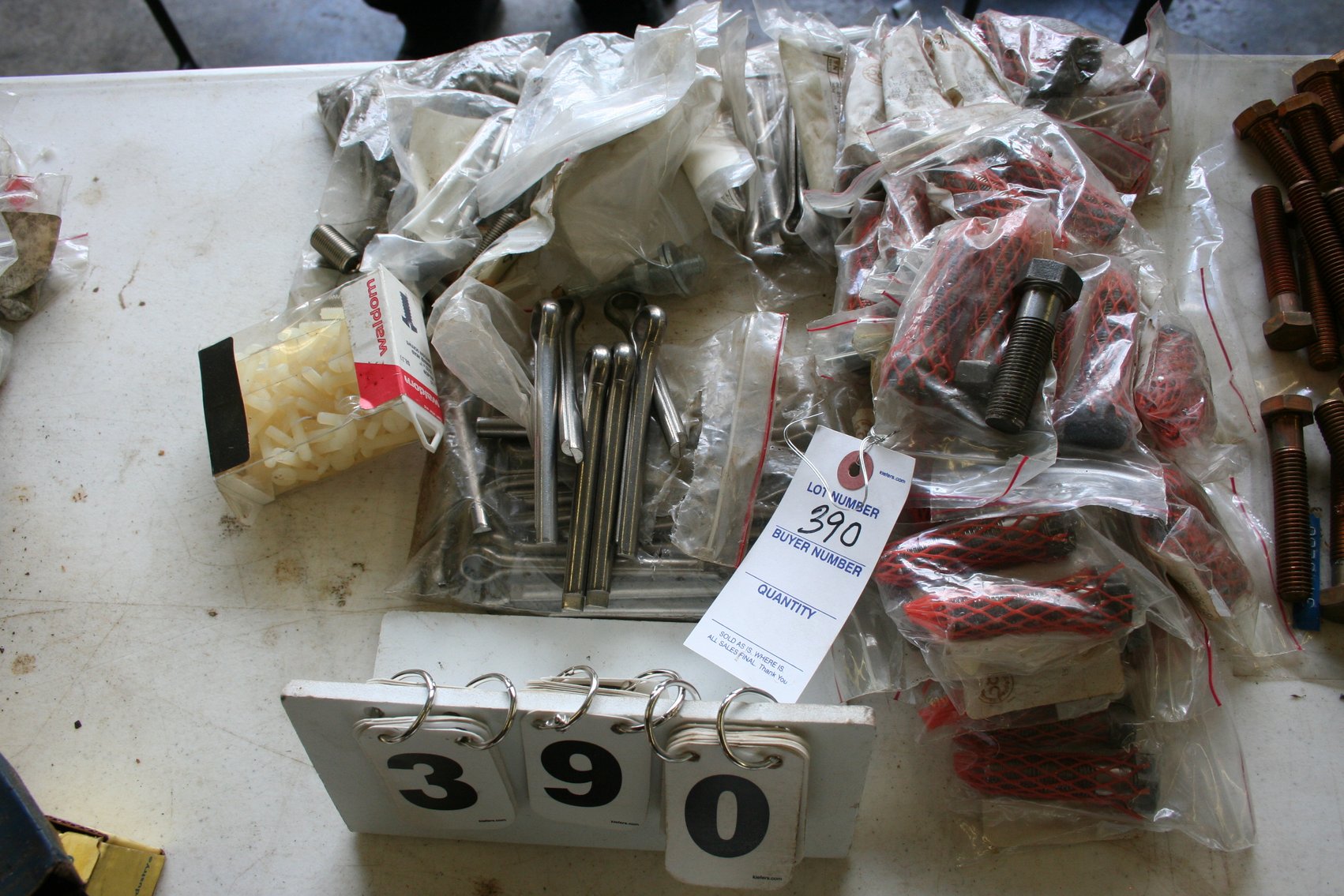 Image for Stainless & Steel Bolts