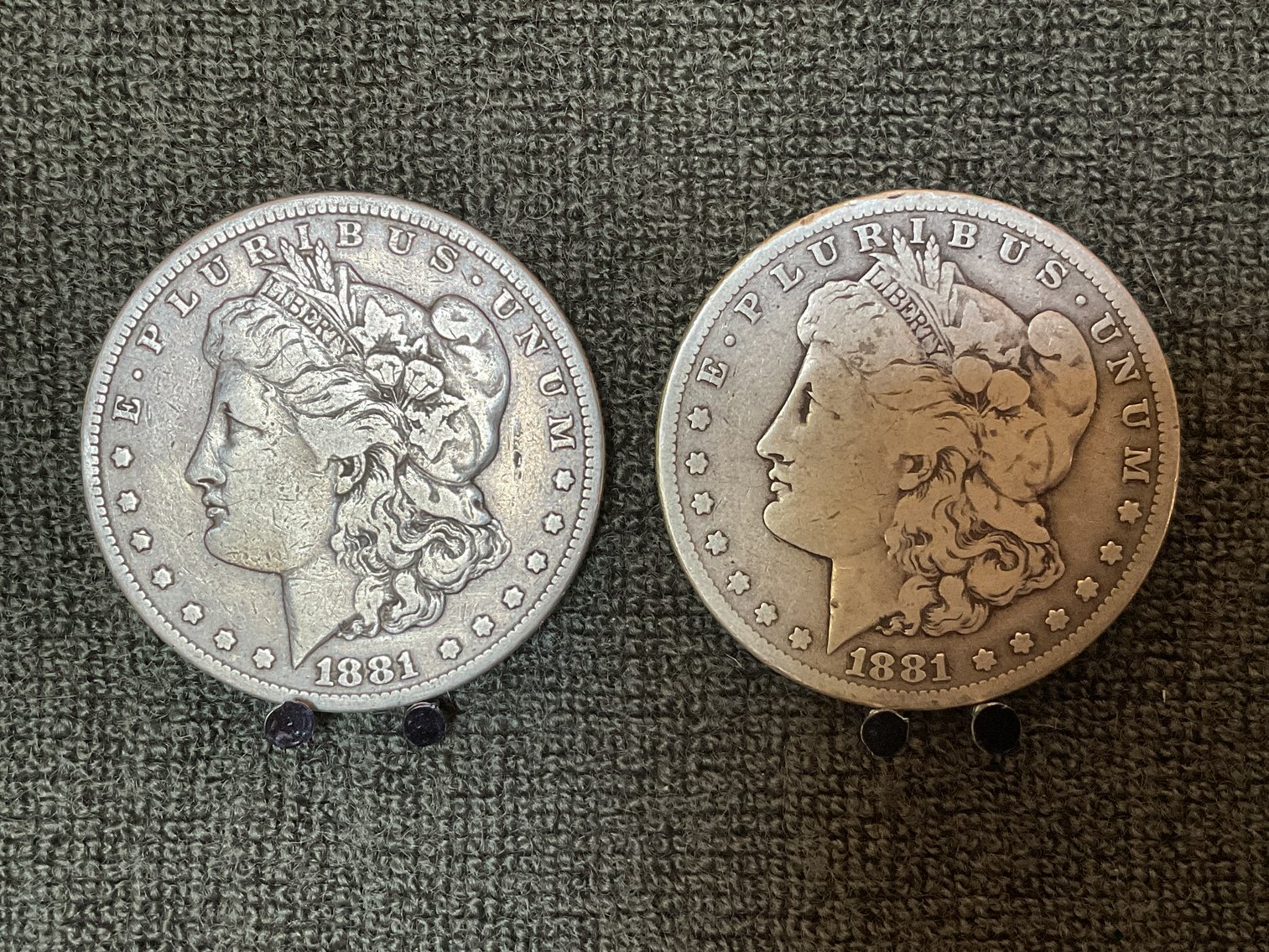 Image for Morgan Dollars