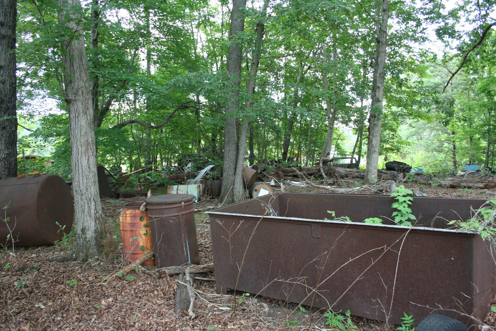 Image for 