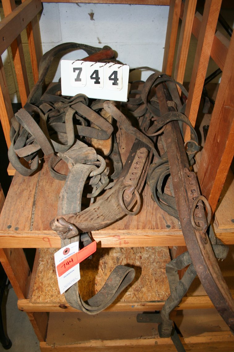 Image for Horse Hanes & Harness