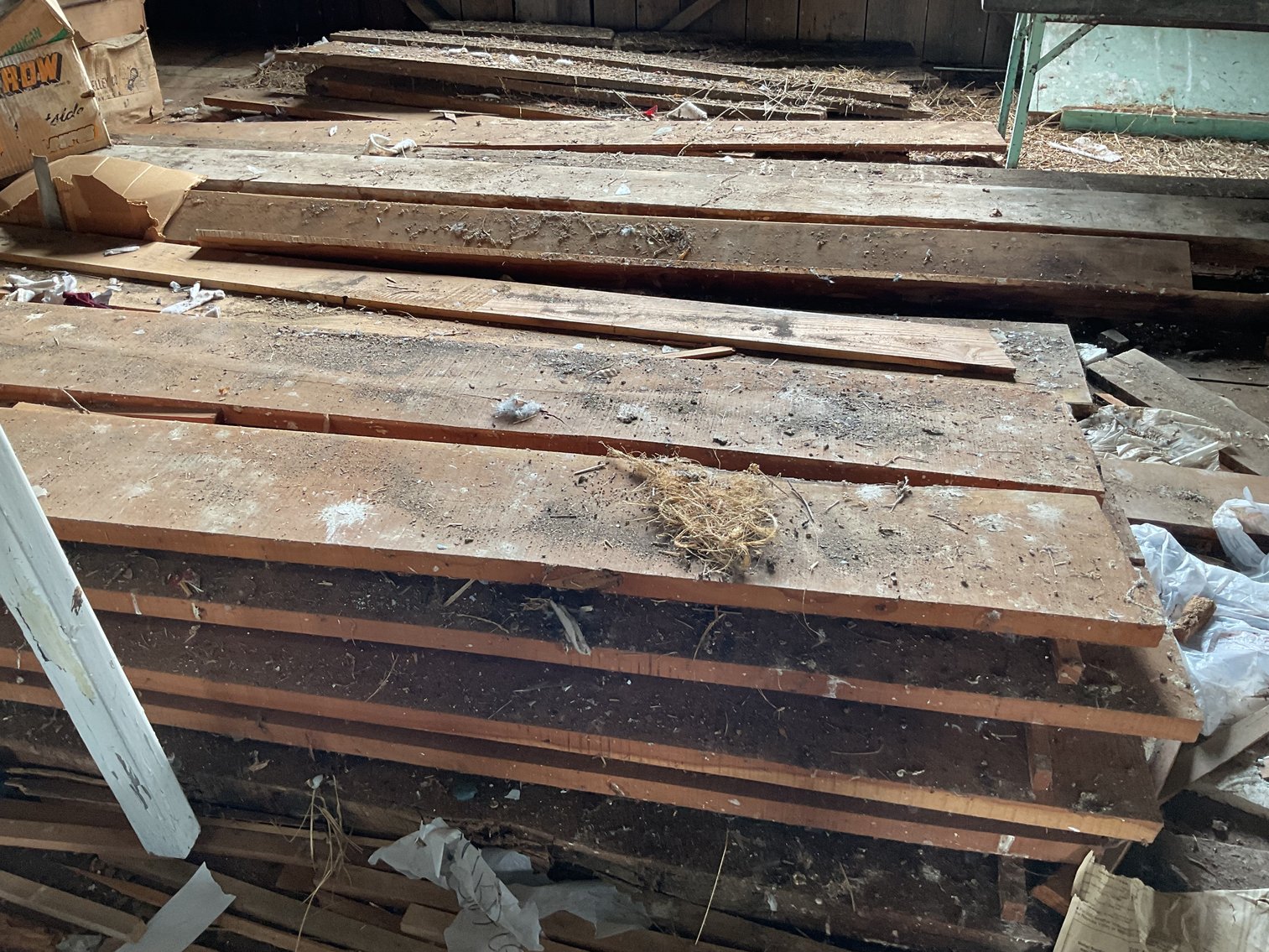 Image for Dry Lumber