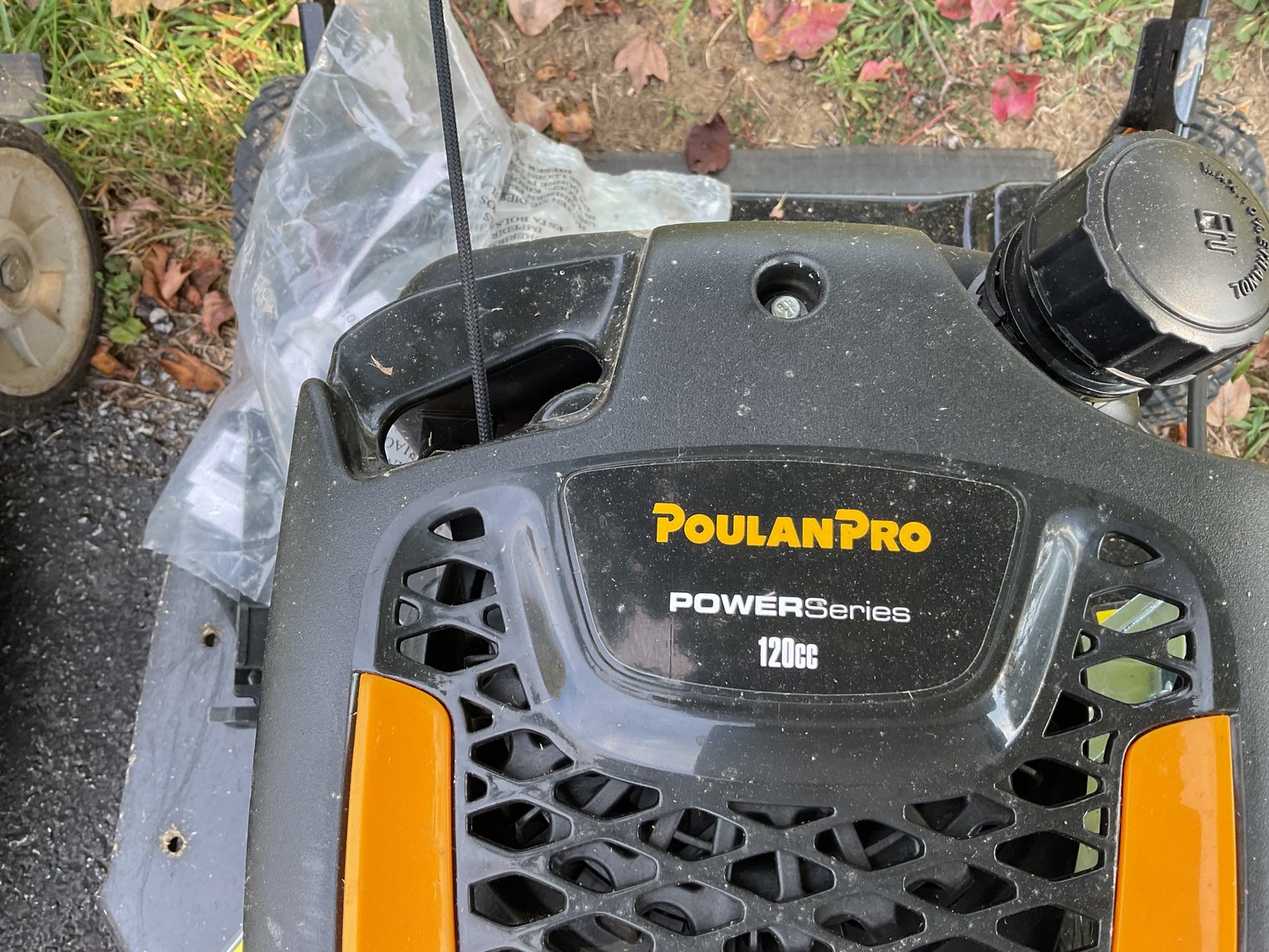 Image for Two Push Mowers