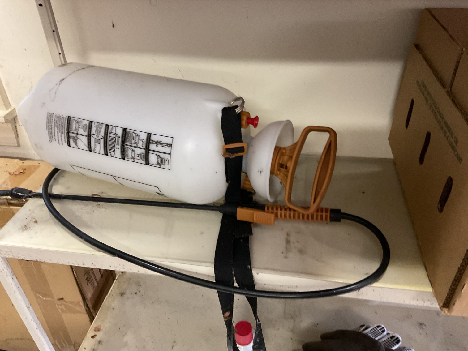 Image for Storage Shelves and Contents
