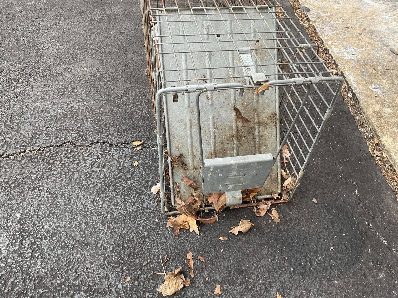 Image for Medium Live Trap