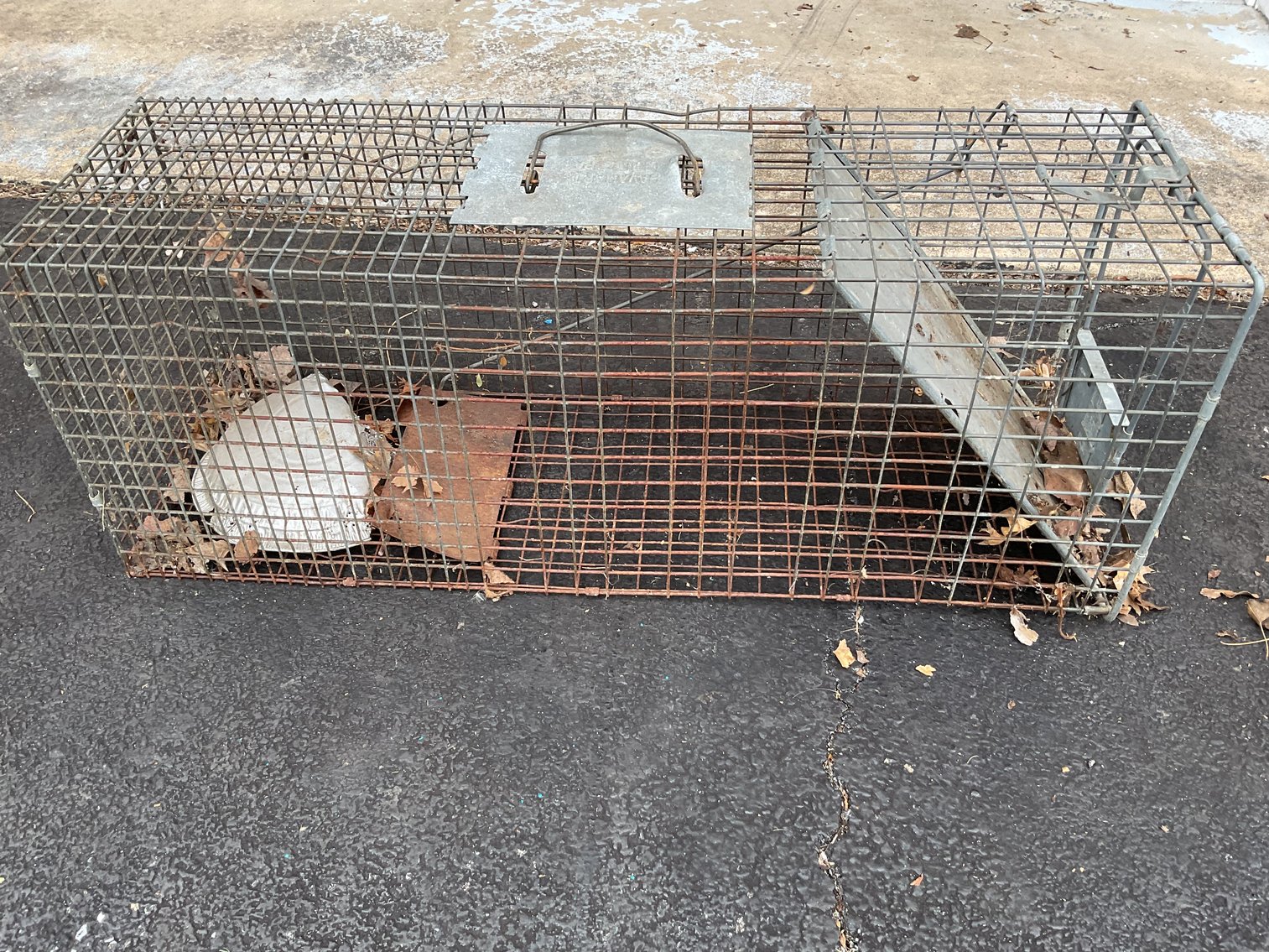 Image for Medium Live Trap