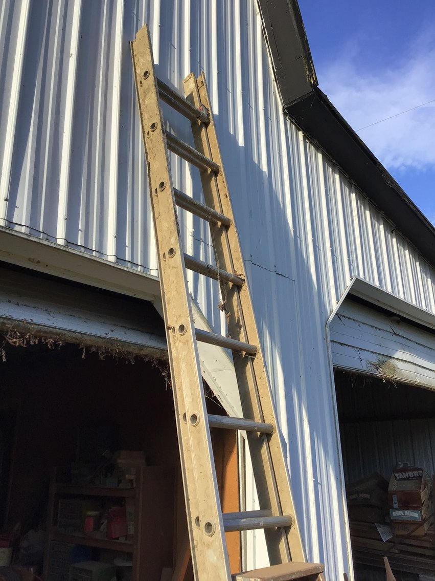 Image for Ladders and Flashing