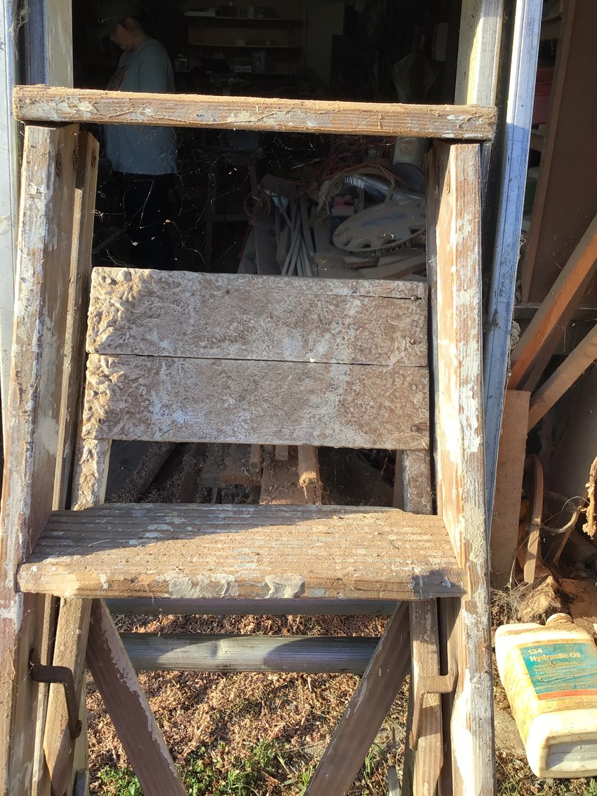 Image for Ladders and Flashing