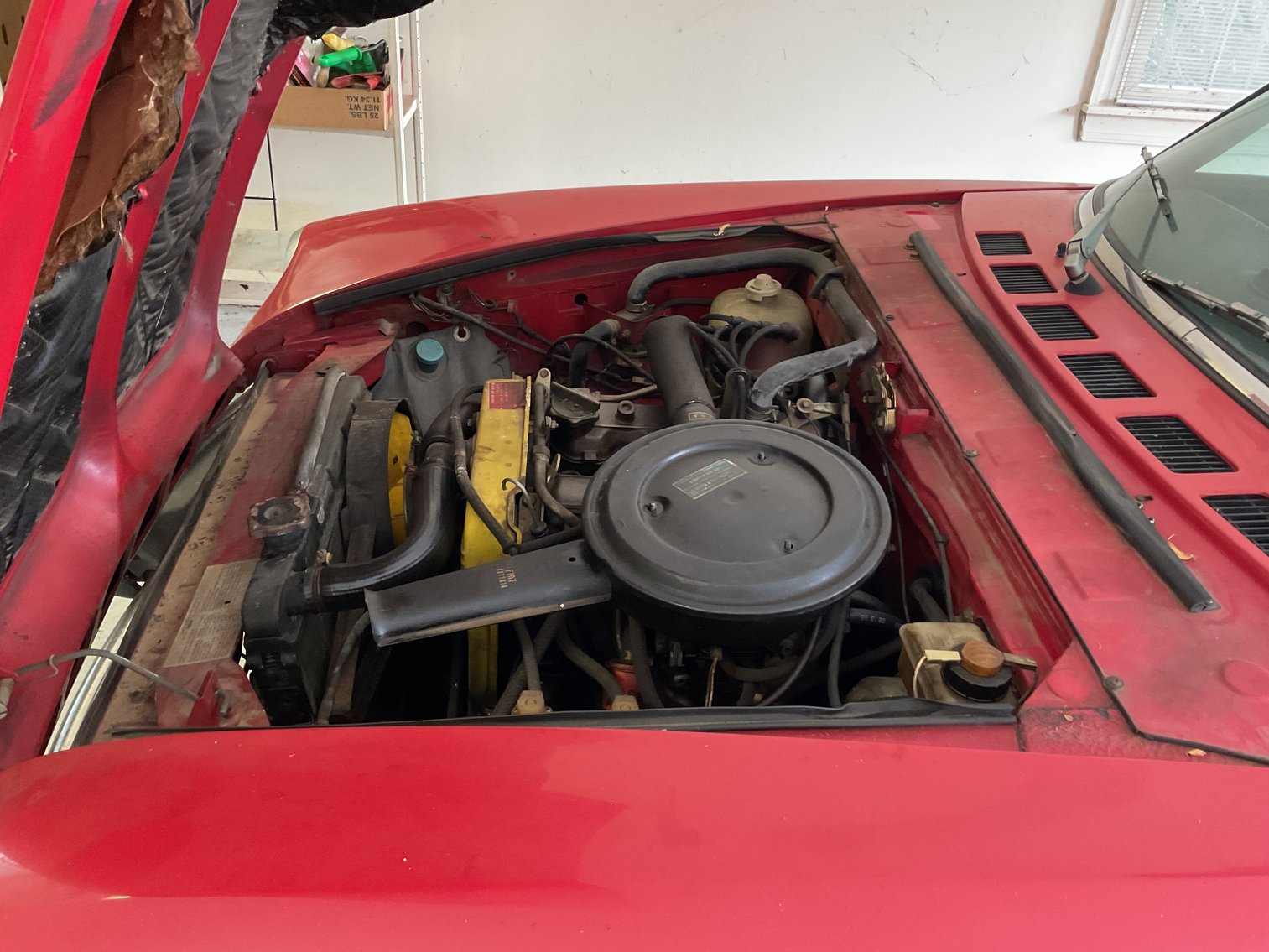 Image for Fiat Roadster