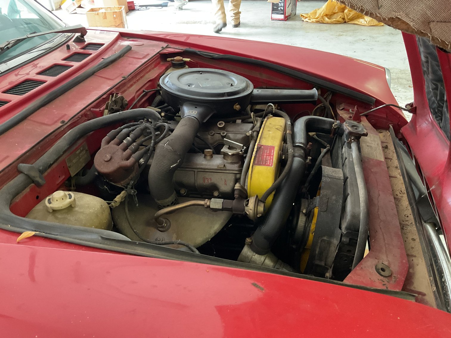 Image for Fiat Roadster