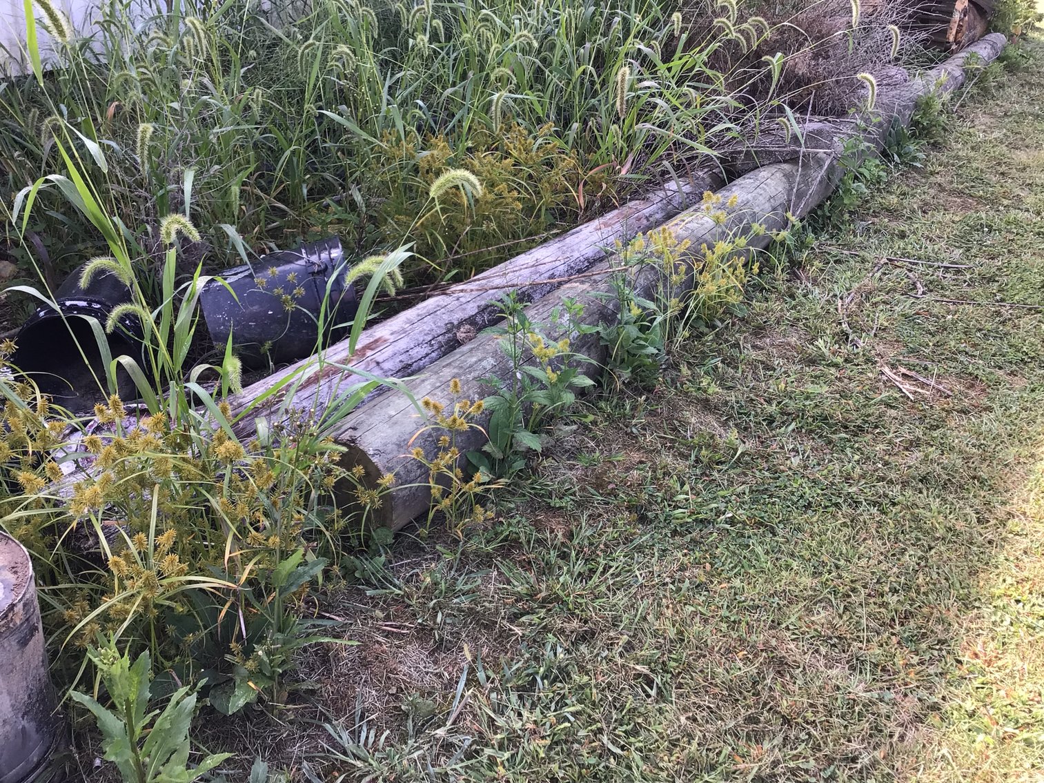 Image for Telephone Poles