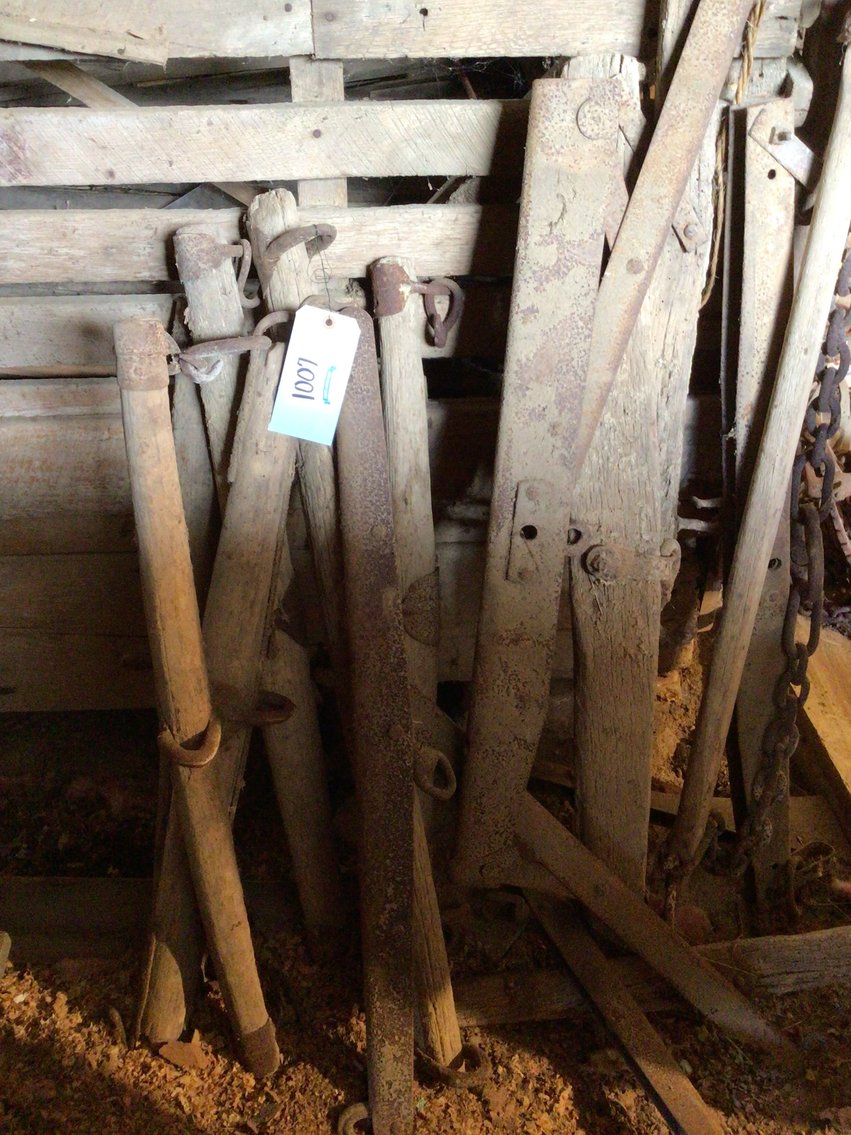 Image for Single Tree Lot