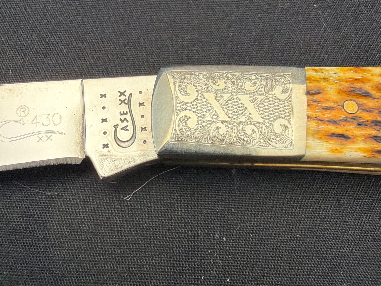 Image for Case trapper