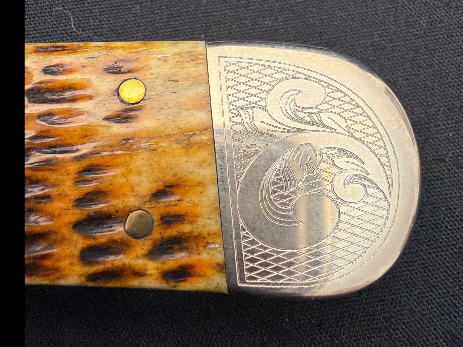 Image for Case trapper
