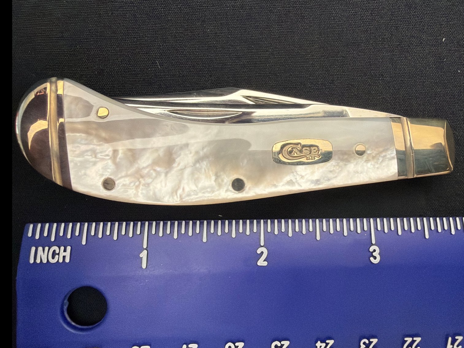 Image for Case mother of PEARL saddle Horne