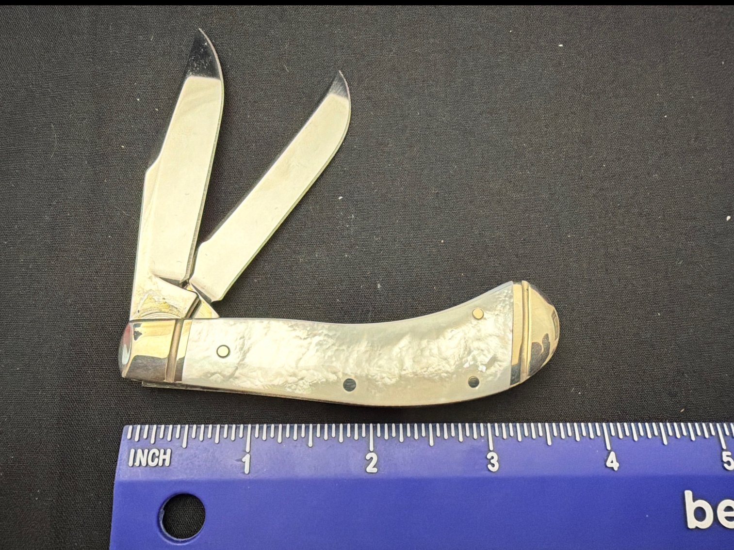 Image for Case mother of PEARL saddle Horne