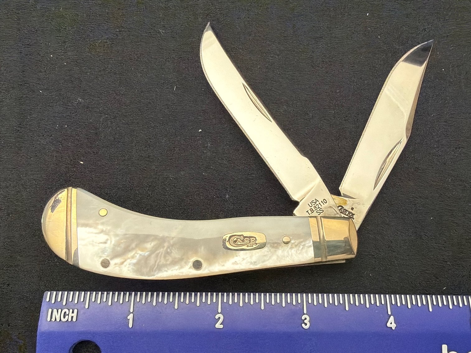 Image for Case mother of PEARL saddle Horne