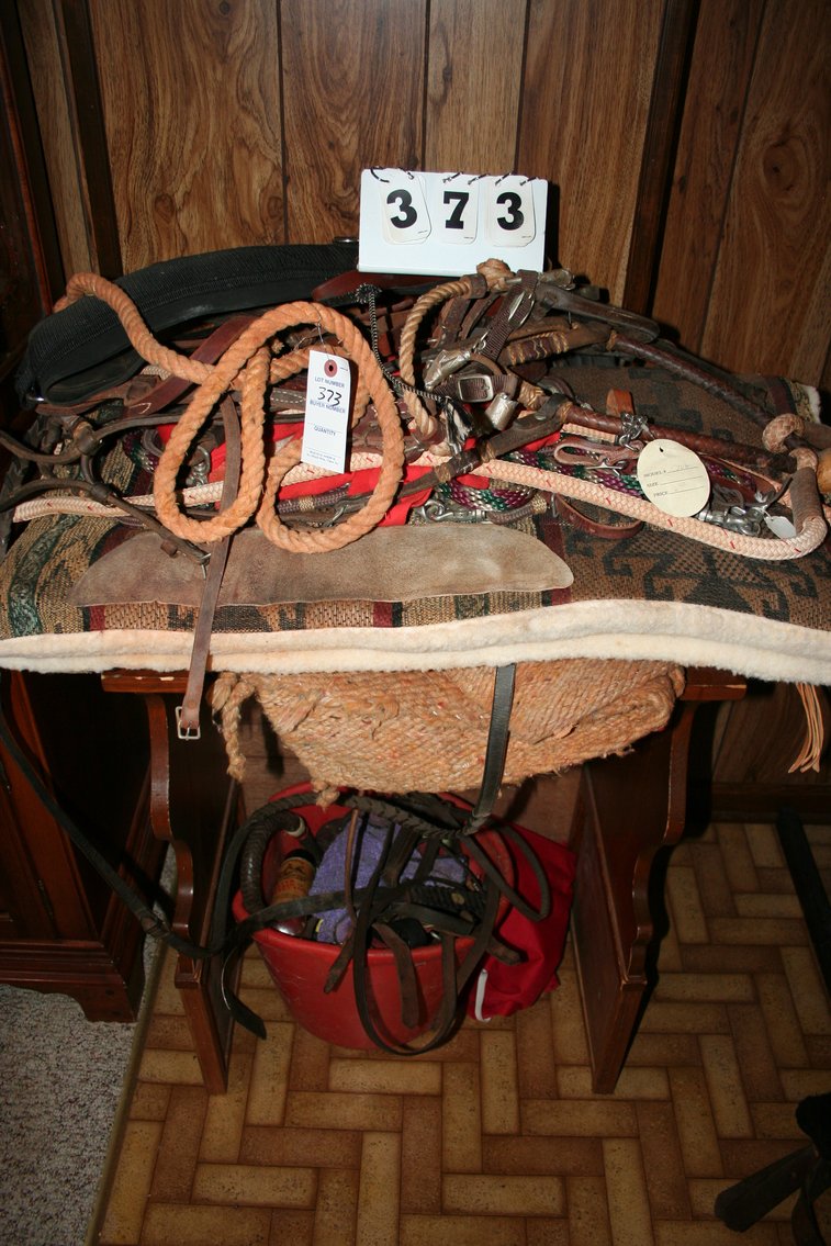 Image for Horse Tack Bridals, Leads