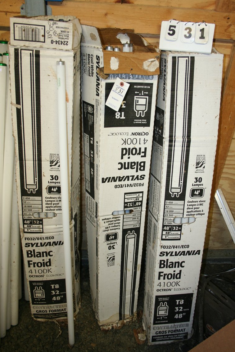 Image for Fluorescent Bulbs 48